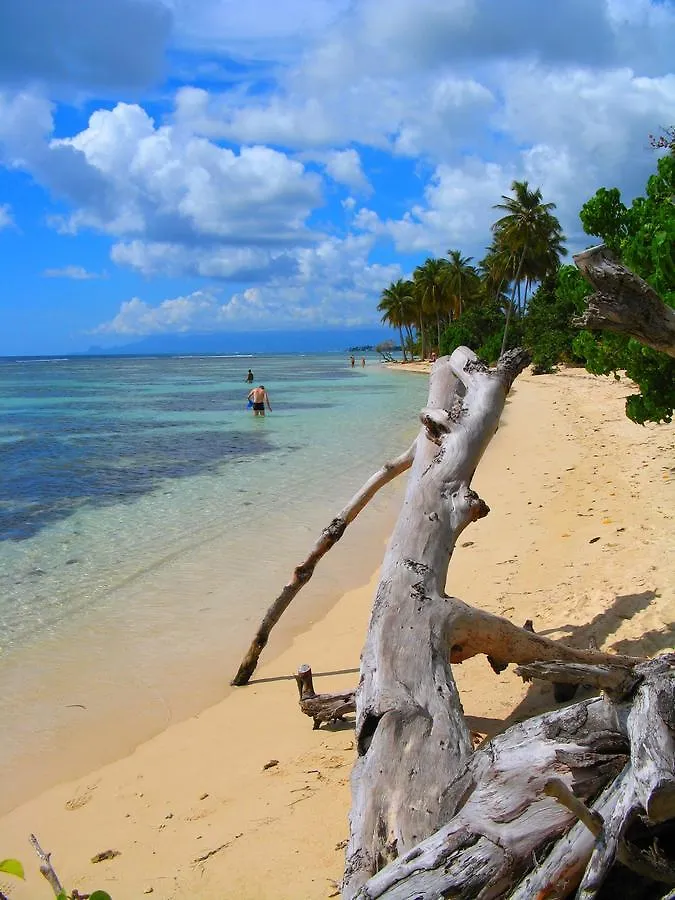 Locastudio - Carambole Lägenhet Sainte-Anne  Guadeloupe