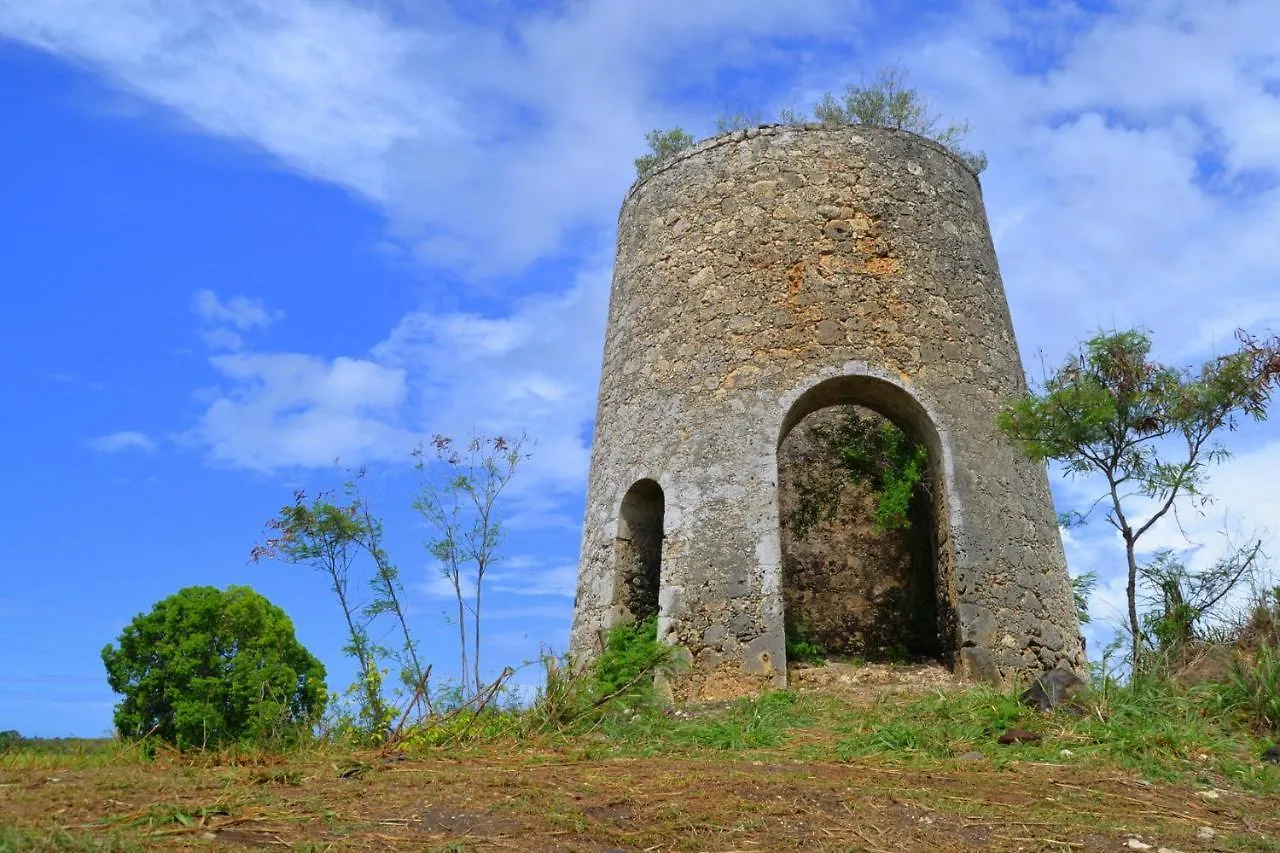 Locastudio - Carambole Lejlighed Sainte-Anne